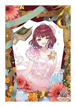 Amazon.co.jp: アトリエ20周年フェスティバル ビッグ布ポスター